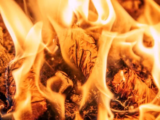 CPL Twizler Firelighters