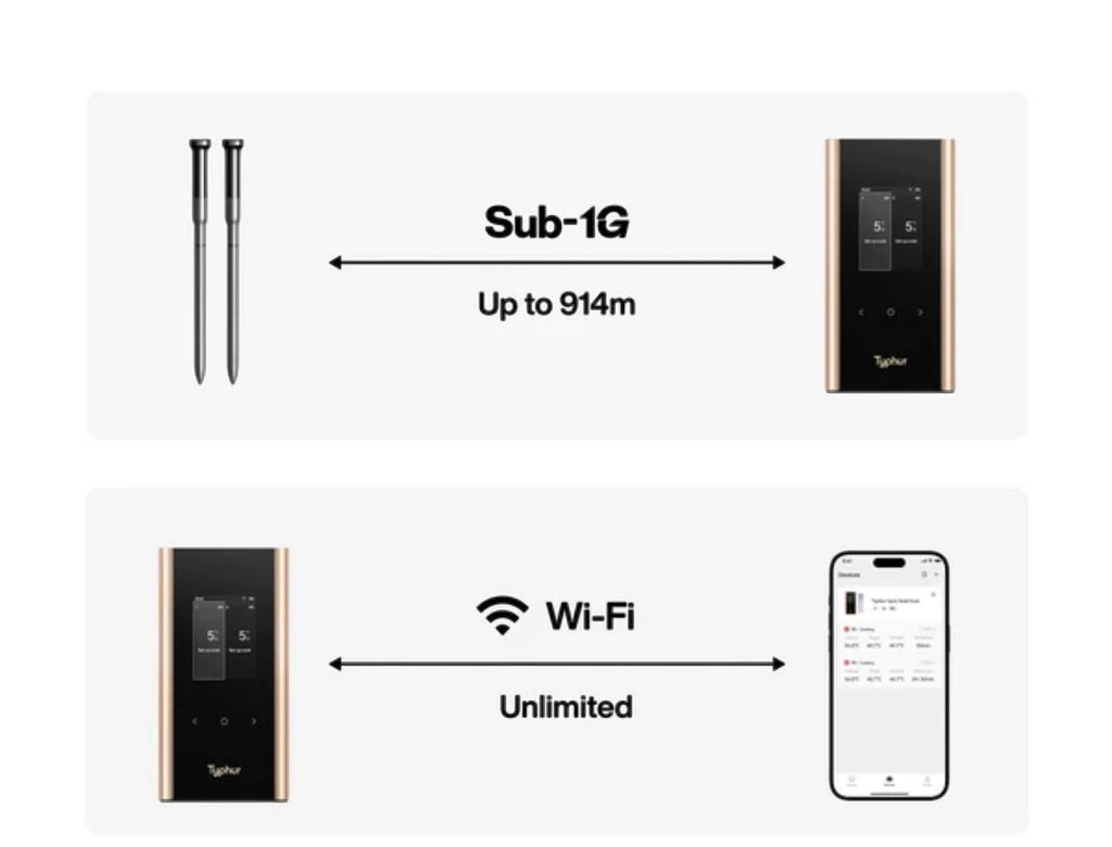 Typhur Sync Gold Dual Wireless Thermometer