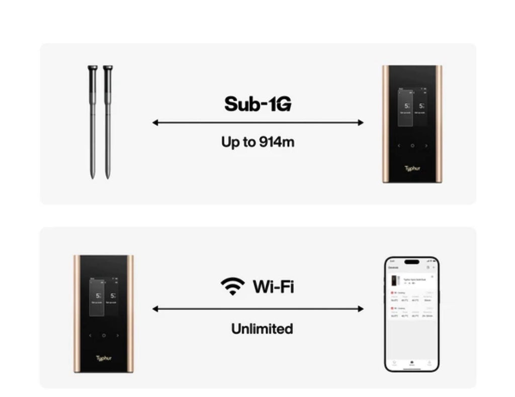 Typhur Sync Gold Quad Wireless Thermometer