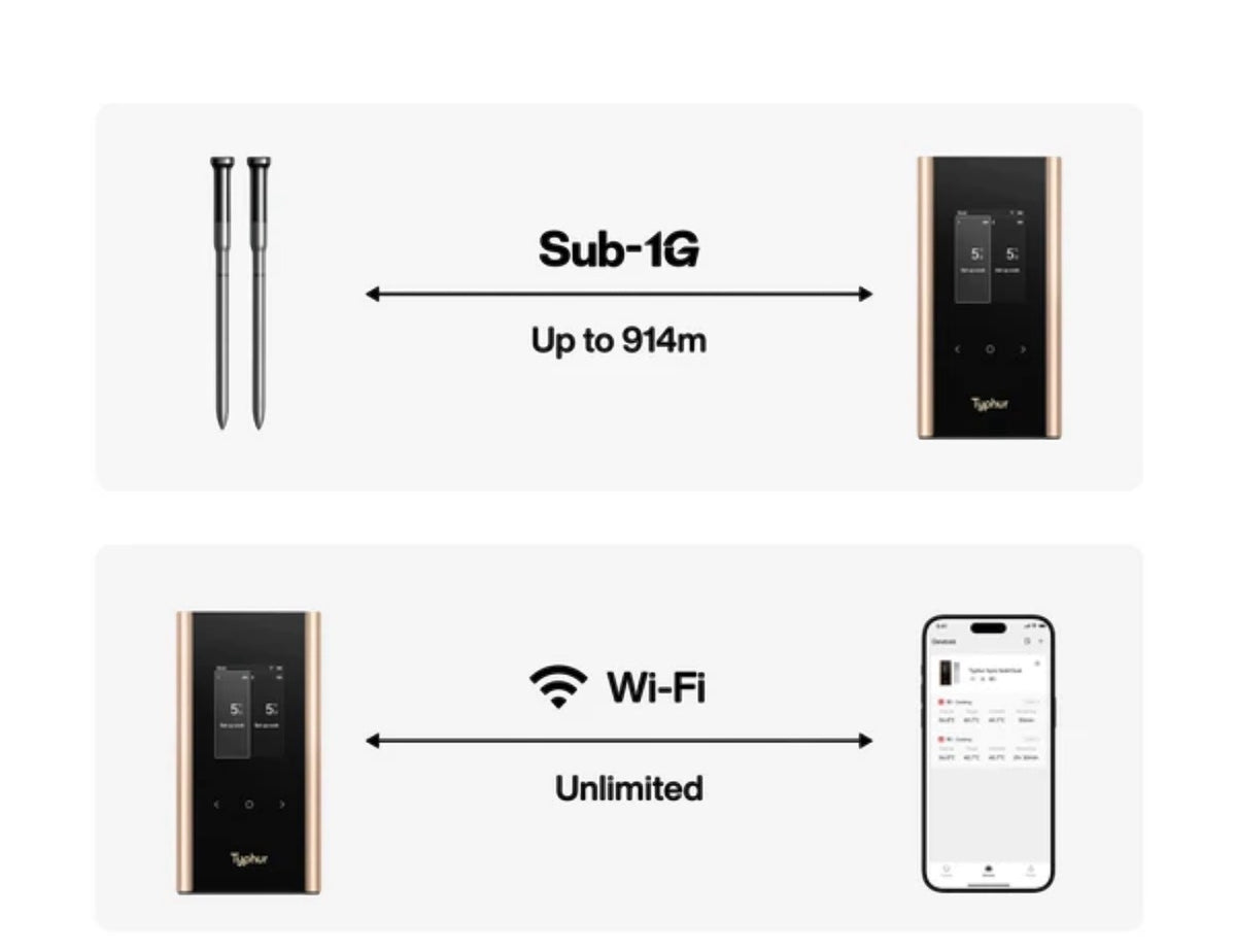 Typhur Sync Gold Quad Wireless Thermometer